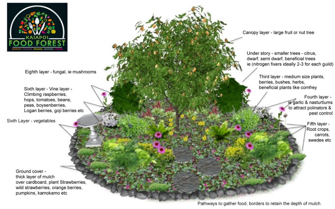 How to create your own Food Forest
