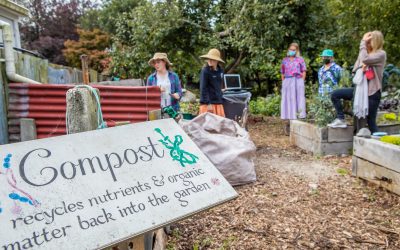 How to Make Your Own Compost