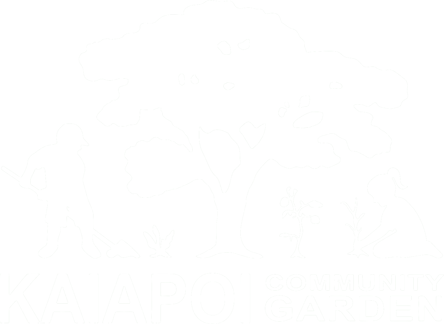 Kaiapoi Community Garden