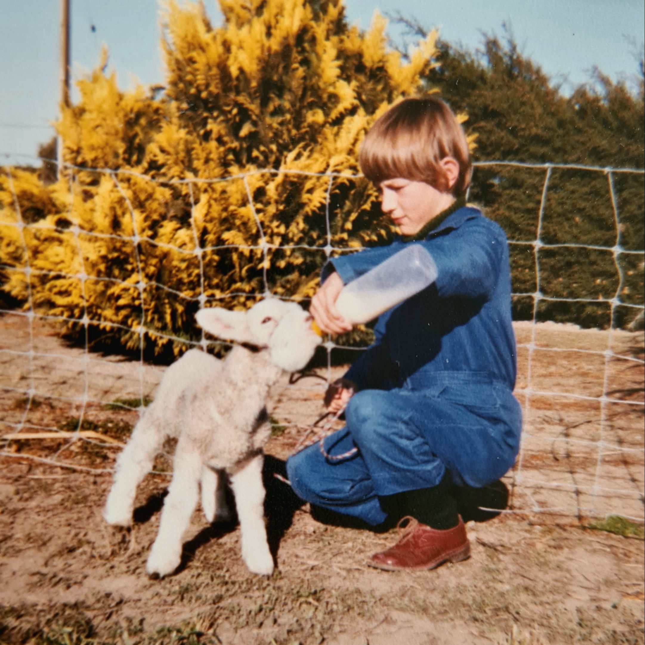 Young Sharon Earl feeding pet lamb