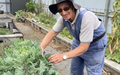 Community Gardens For Building Stronger Communities and Food Security