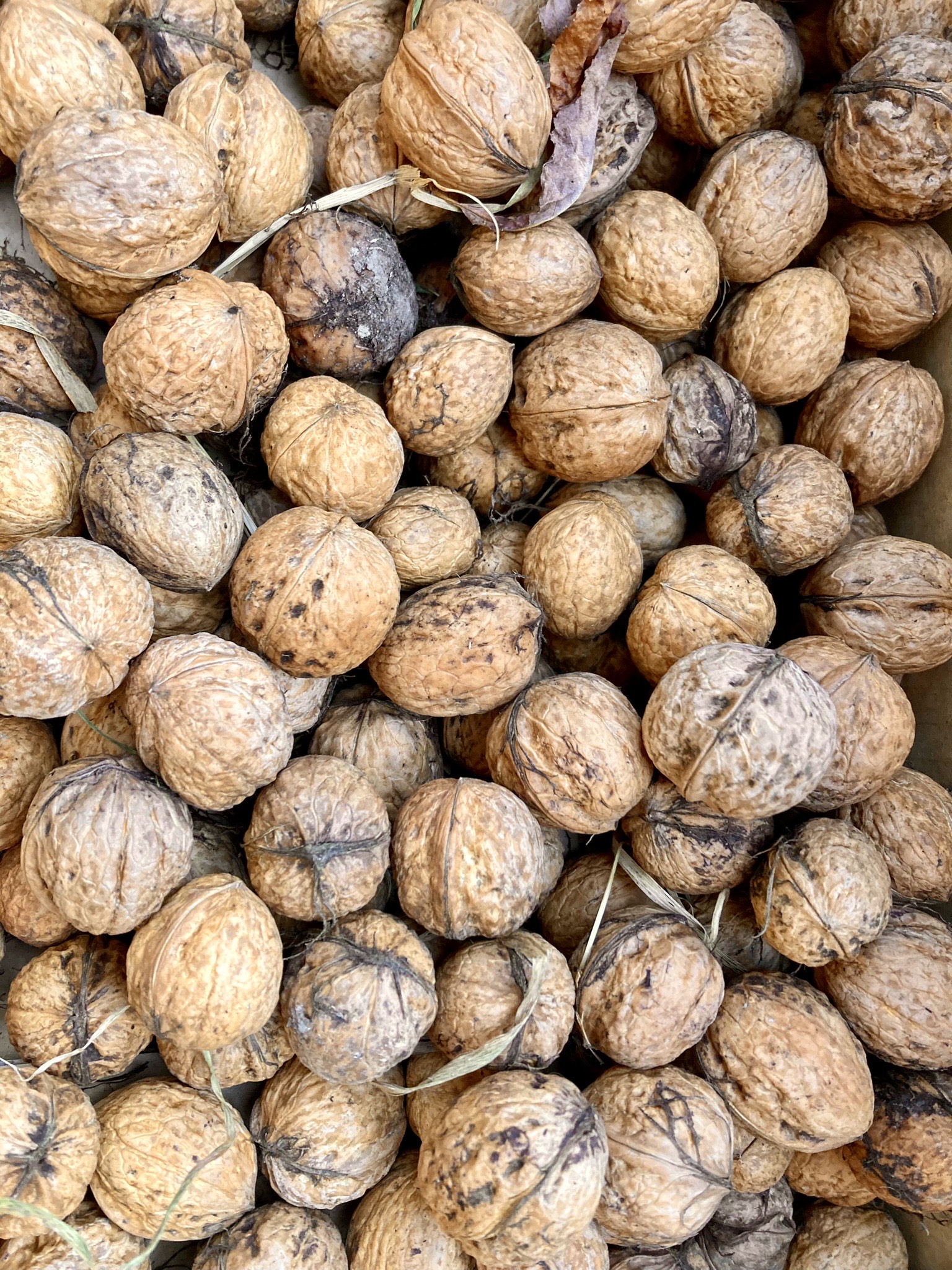 Walnuts